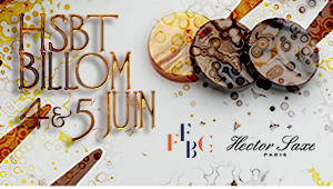 Hector Saxe Backgammon Tour Billom les 04 & 05 juin 